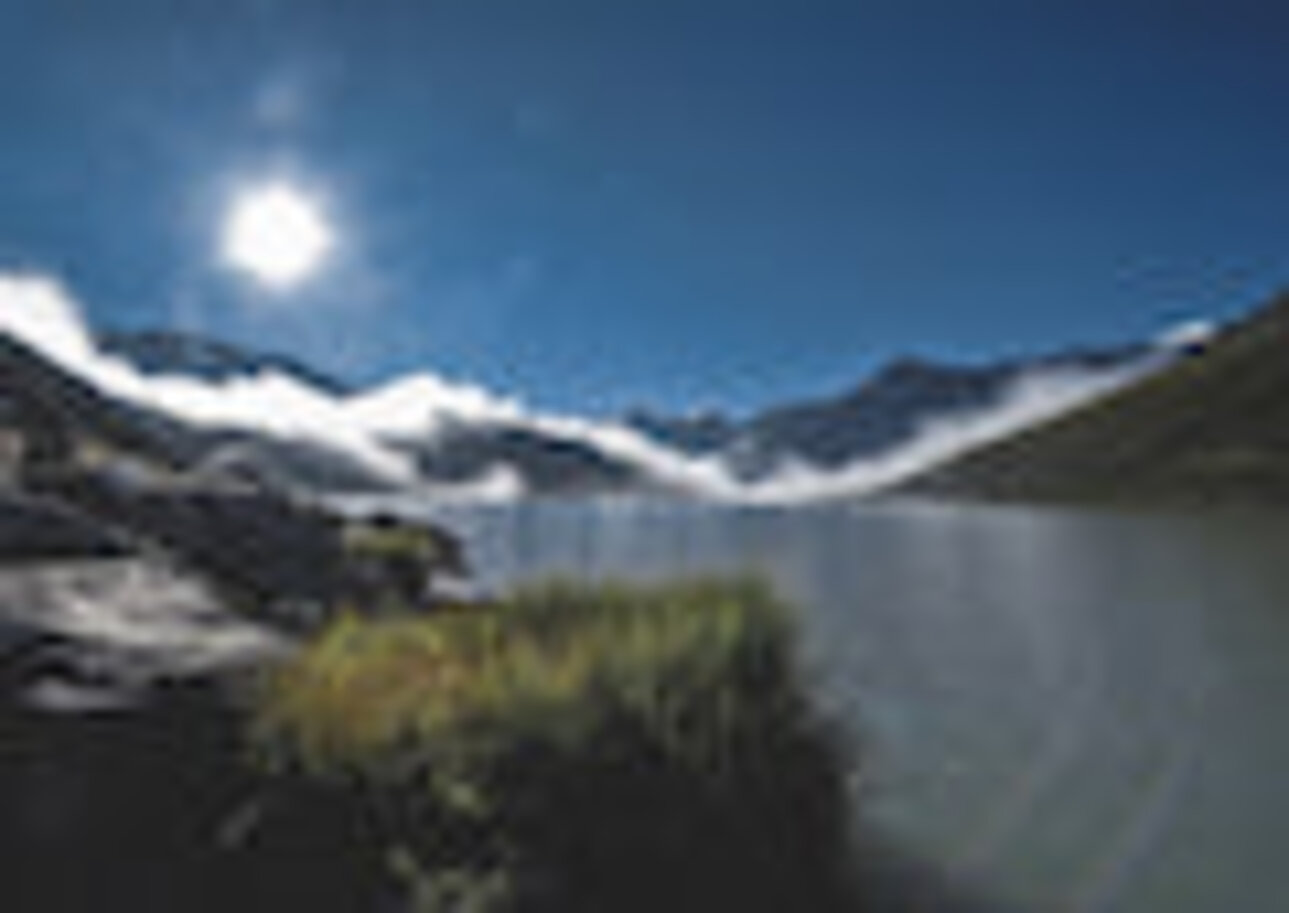 Bild Sommer1 Ferienhaus Inge Bild Sommer1 Ferienhaus Inge